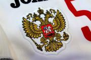 Физика сублимации молекулярное внедрение красителя
